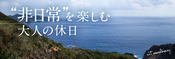 1212_t_title