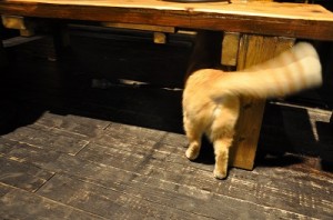 image023