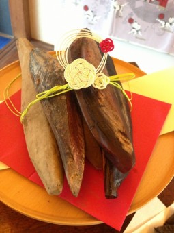 IMG_0388 IMG_0388.jpg
