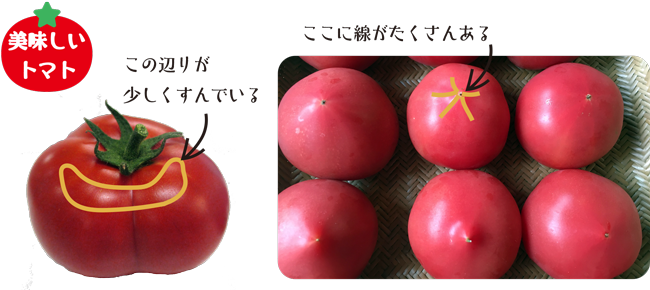 1606_tsukurite_sub4