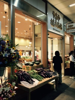 やおや植木商店