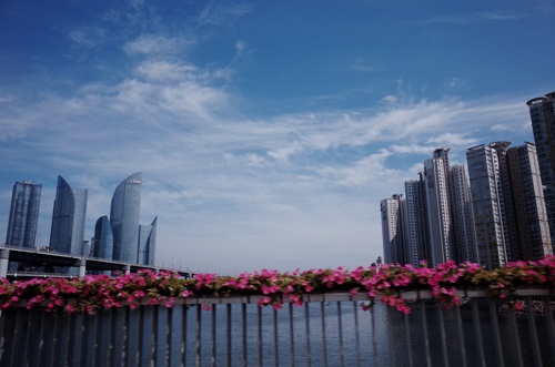 R0011222 (1)