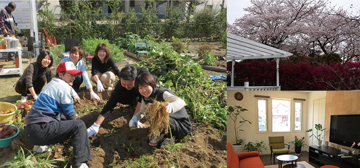 あまつ風畑桜部屋内観コラージュ1
