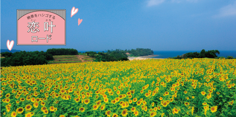 1609_国東半島_a01