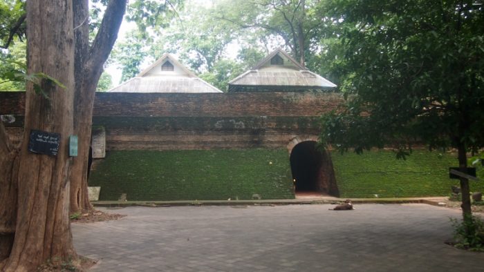 P8045634