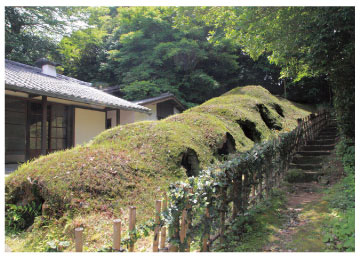 長崎県北_40