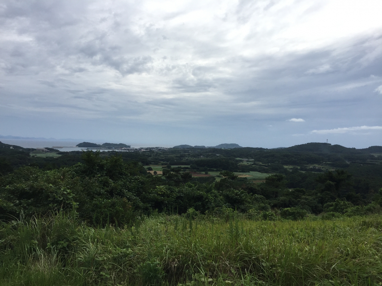 s_IMG_9204