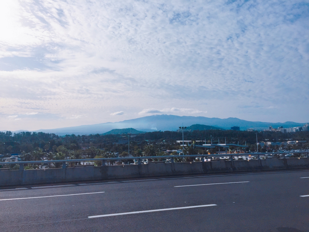 s_IMG_0348