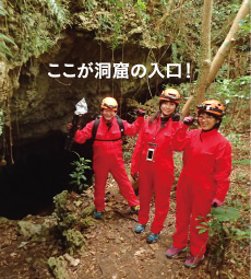 okinoerabu_06