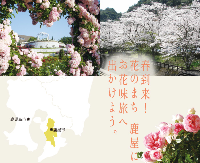 kanoyashi_01