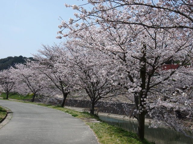 20170322_06
