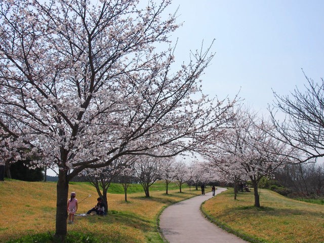 20170322_07