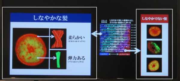 s_結果