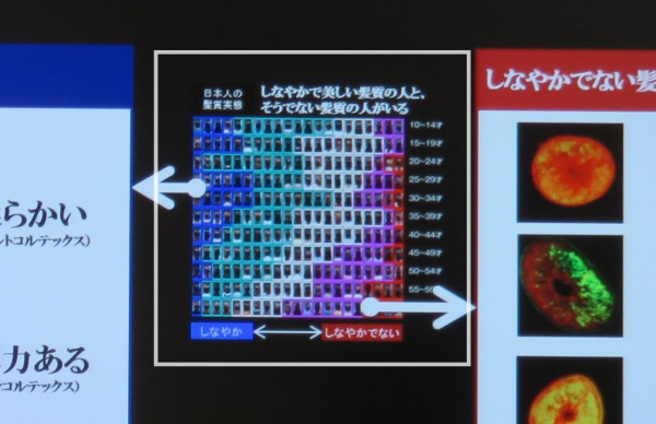 s_結果1