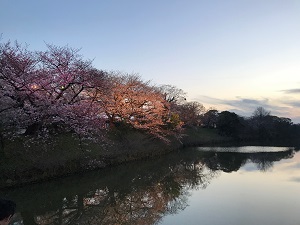 A4072389-ED11-4D76-9C0E-921C63404579