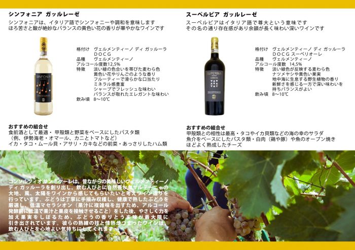 コンソルツォ サンミケーレさんから届く直輸入ワイン。バカンスで訪れるセレブに人気の白ワイン~ISOLACARA直輸入のヴェルメンティーノ・ディ・ガッルーラDOCGシンフォ二ア(Sinfonia)