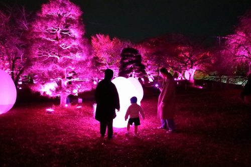 お子様喜ぶ喜ぶ。
