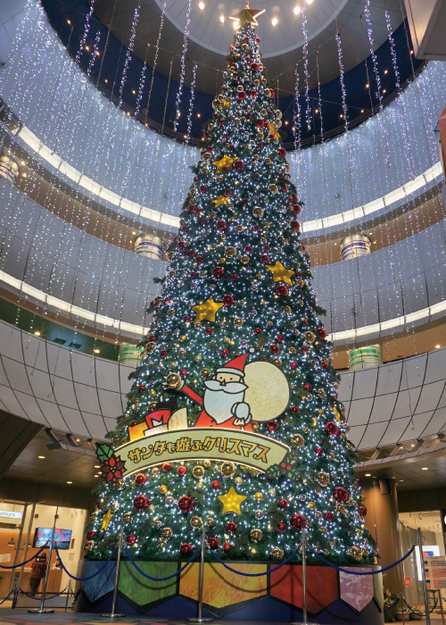 img1712_christmas12