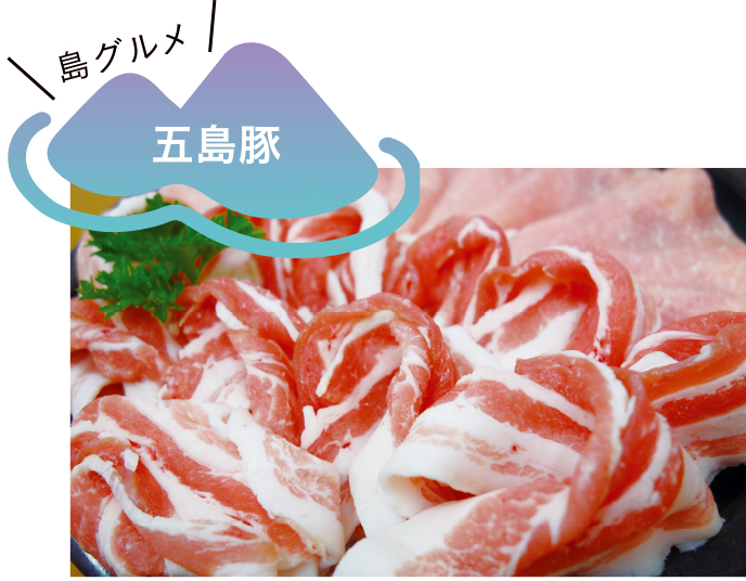 003-01