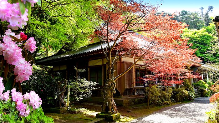 kunisaki_mein