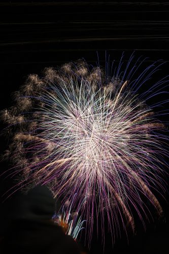 IMG_2944a