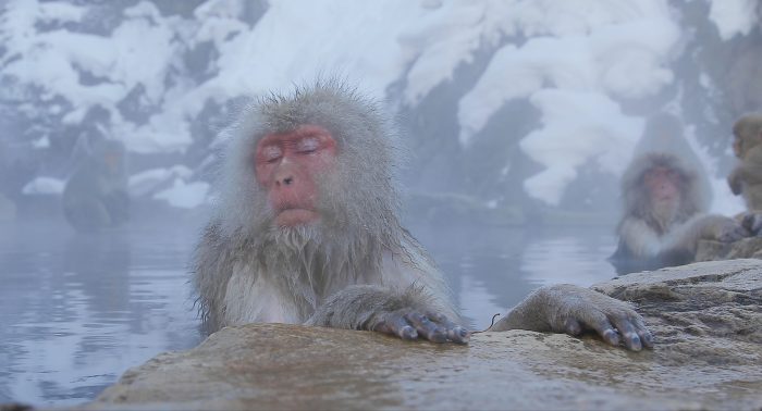 サブ8_地獄谷