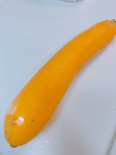 黄色のズッキーニ