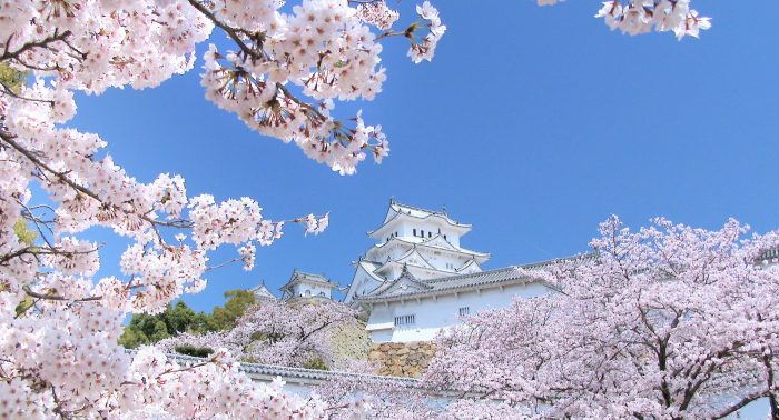 サブ2_姫路城