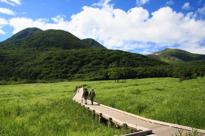 タデ原湿原