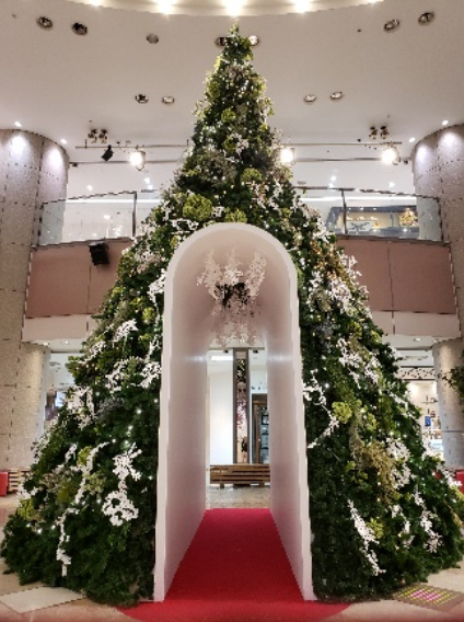 クリスマスツリー